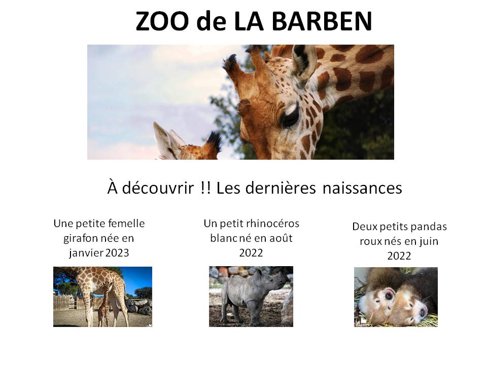 Dernières naissances au zoo de La Barben