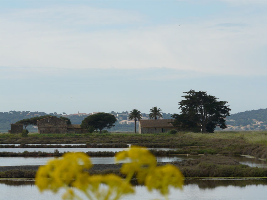 Salins des Pesquiers